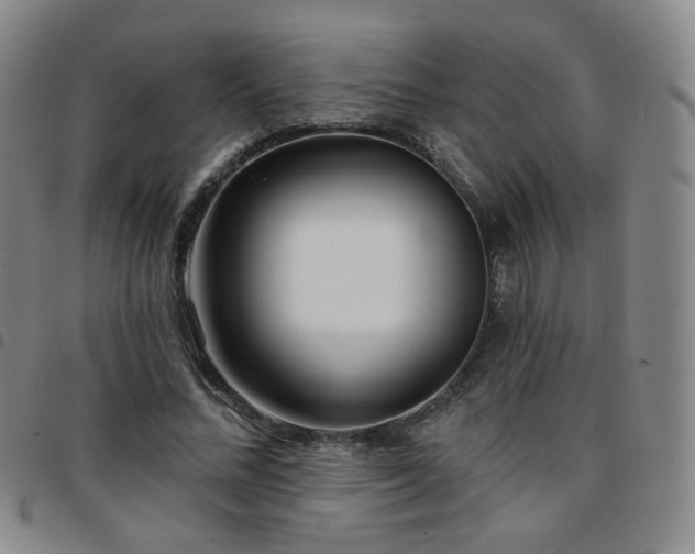 X0000097770684200803141745
