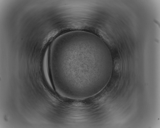 X0000097770685200803141745