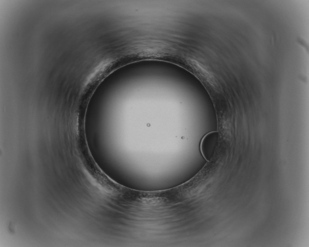 X0000097770686200803141745