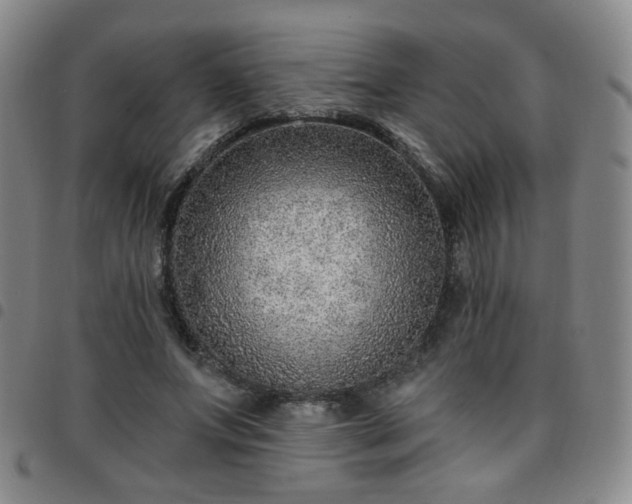 X0000097770687200803141745