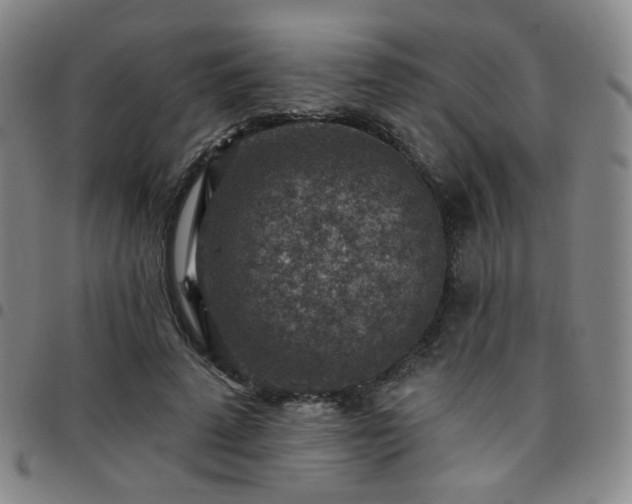 X0000097770689200803141745
