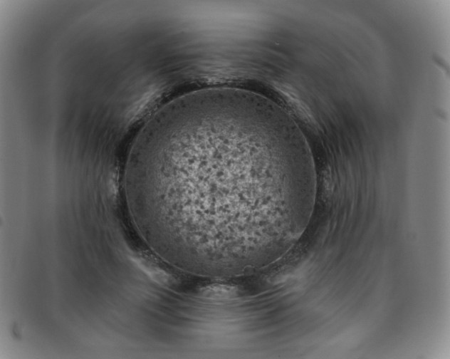 X0000097770691200803141745