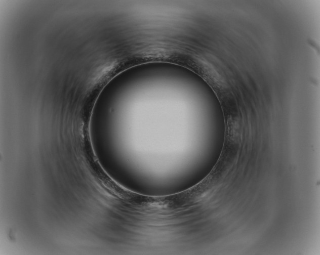 X0000097770692200803141745