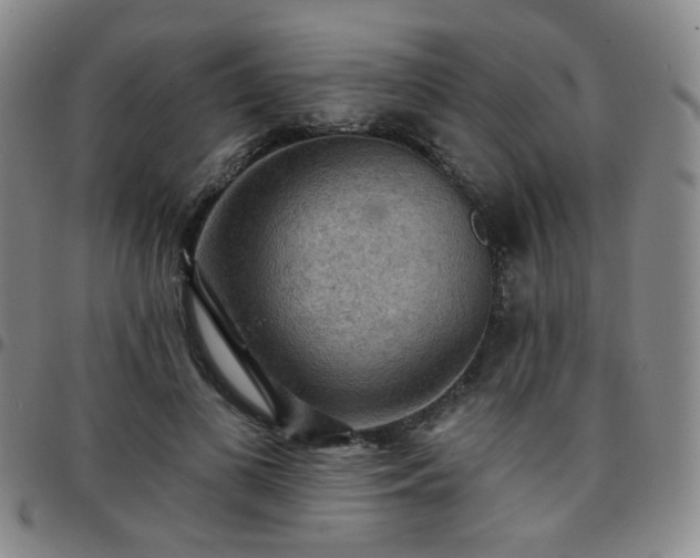 X0000097770693200803141745