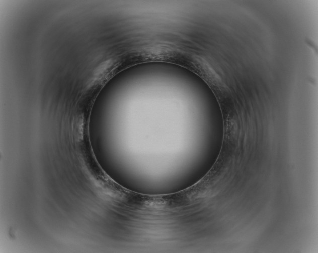 X0000097770694200803141745