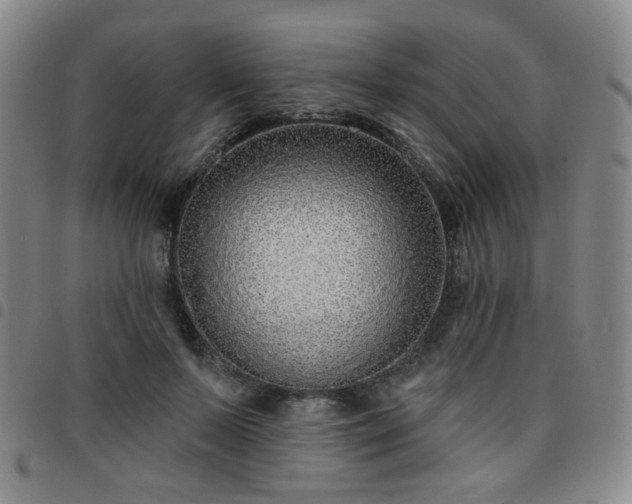 X0000097770695200803141745