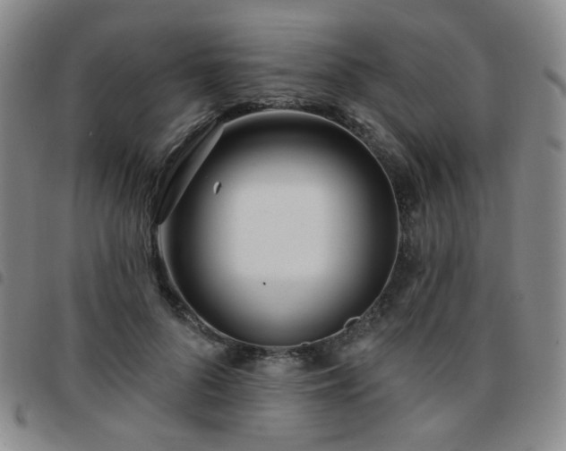 X0000097770696200803141745