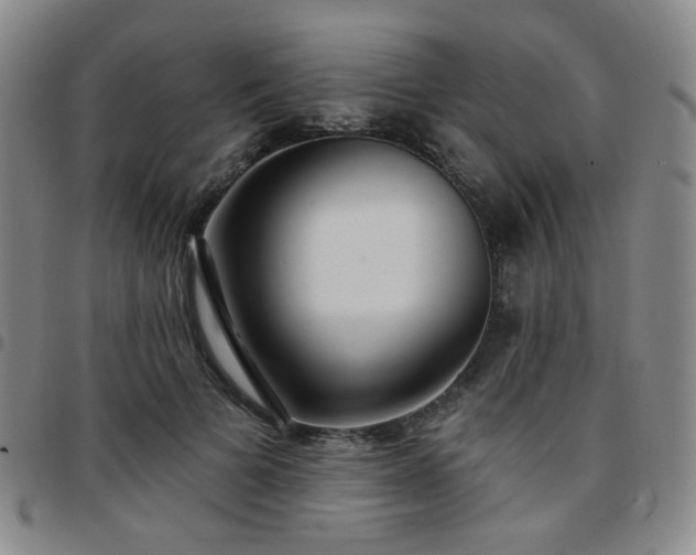 X0000097770697200803141745
