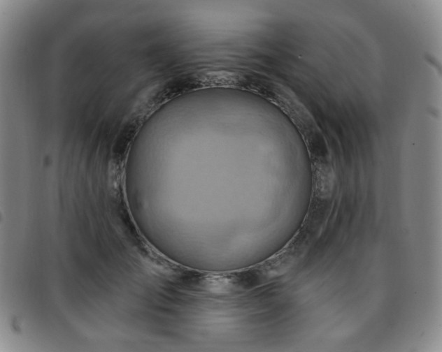 X0000097770701200803141745
