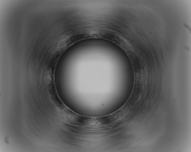 X0000097770702200803141745