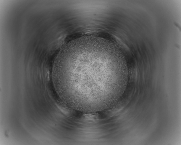 X0000097770703200803141745