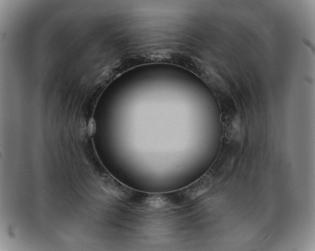 X0000097770704200803141745