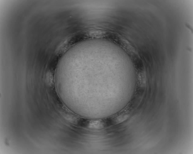 X0000097770705200803141745