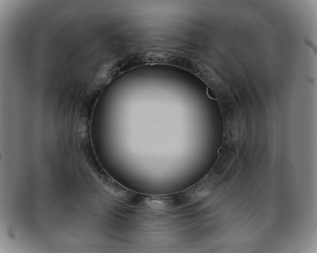 X0000097770706200803141745