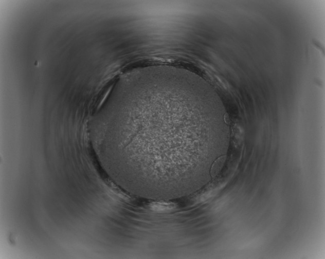 X0000097770707200803141745