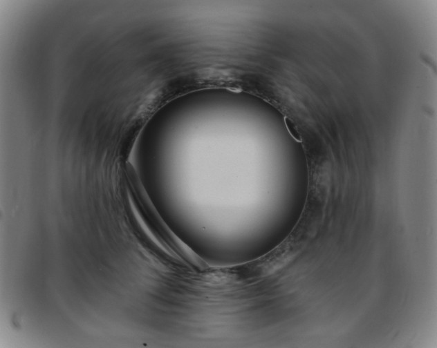 X0000097770708200803141745