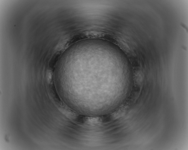 X0000097770709200803141745