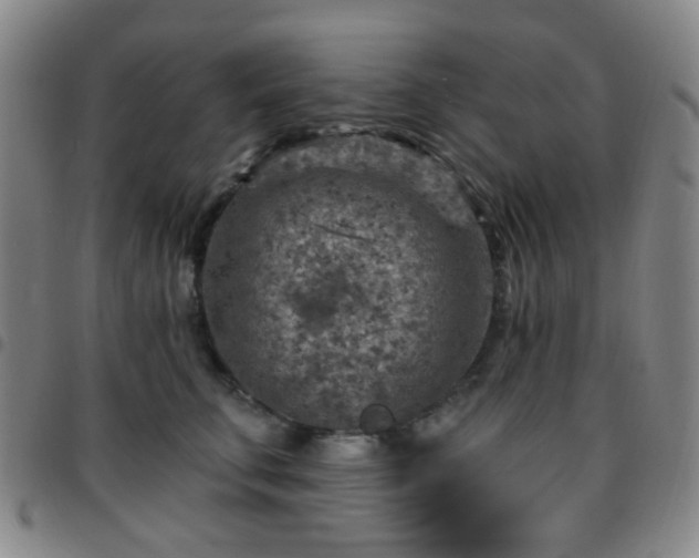 X0000097770711200803141745