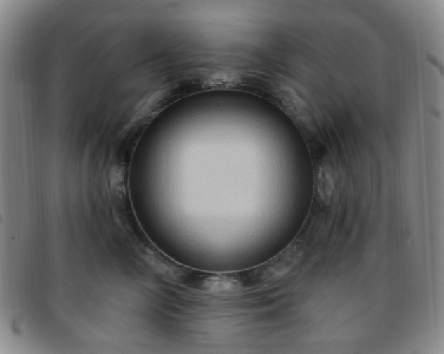 X0000097770714200803141745