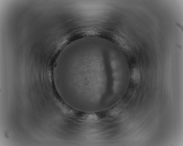 X0000097770715200803141745