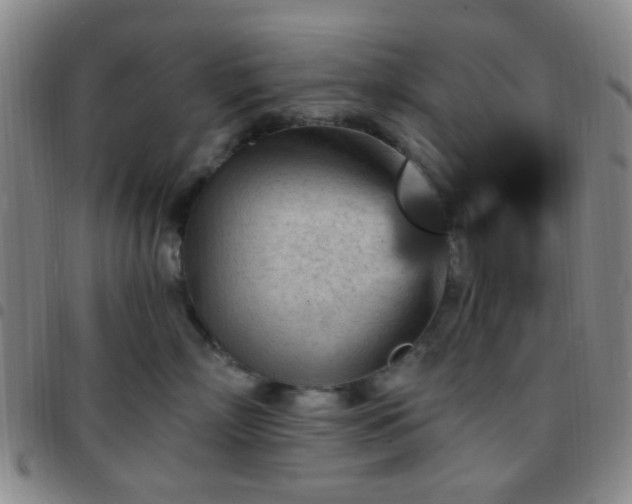 X0000097770718200803141745