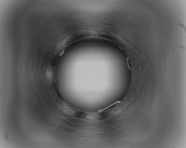 X0000097770720200803141745