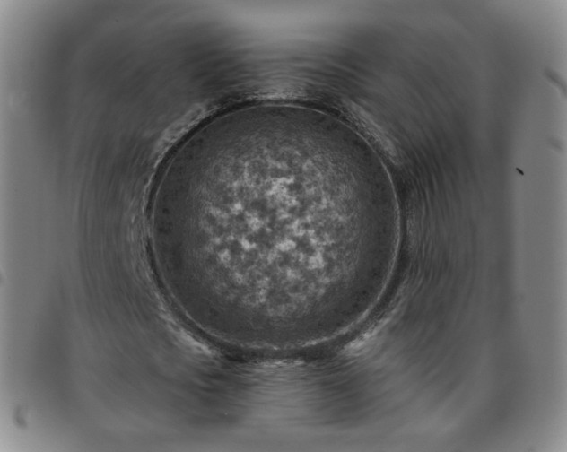 X0000097770721200803141744