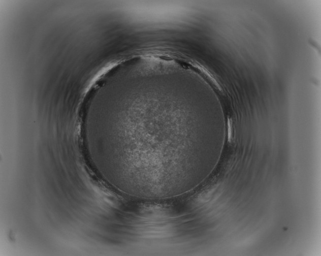 X0000097770723200803141744