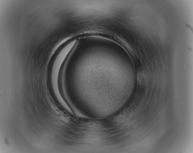 X0000097770724200803141744