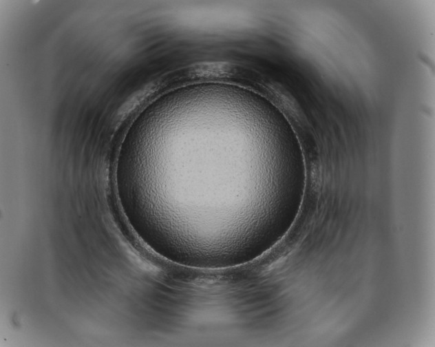 X0000097770725200803141744