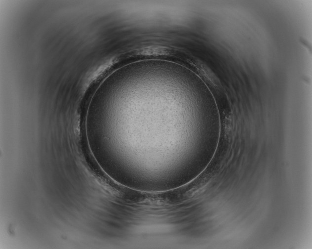 X0000097770727200803141744