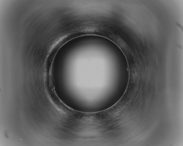 X0000097770728200803141744