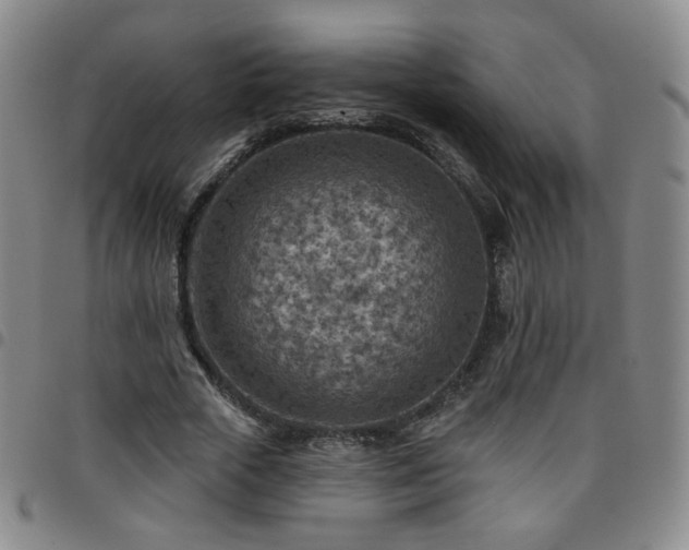 X0000097770729200803141744