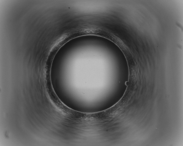 X0000097770730200803141744