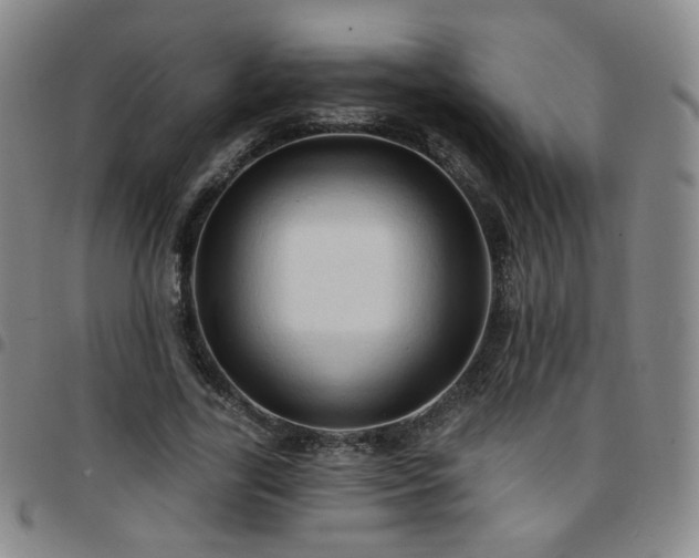X0000097770731200803141744