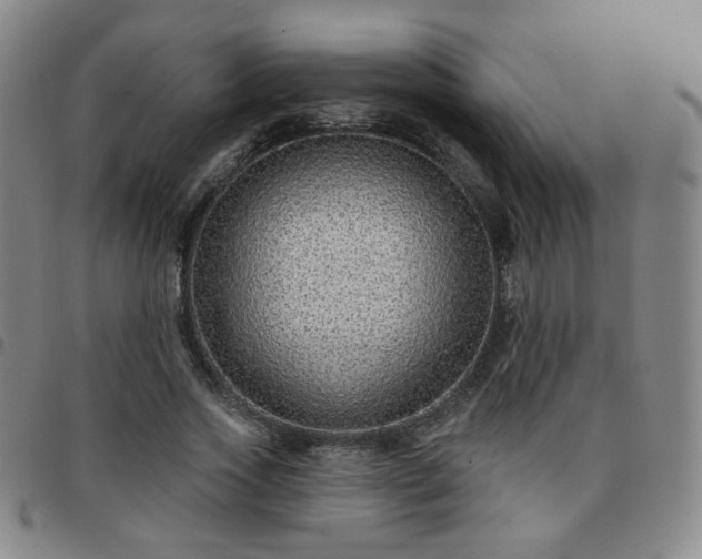 X0000097770733200803141744