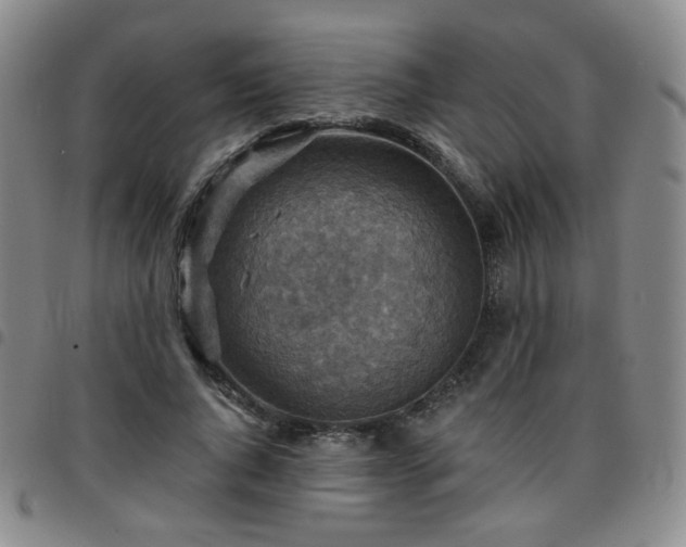 X0000097770736200803141744