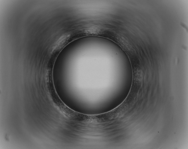 X0000097770738200803141744