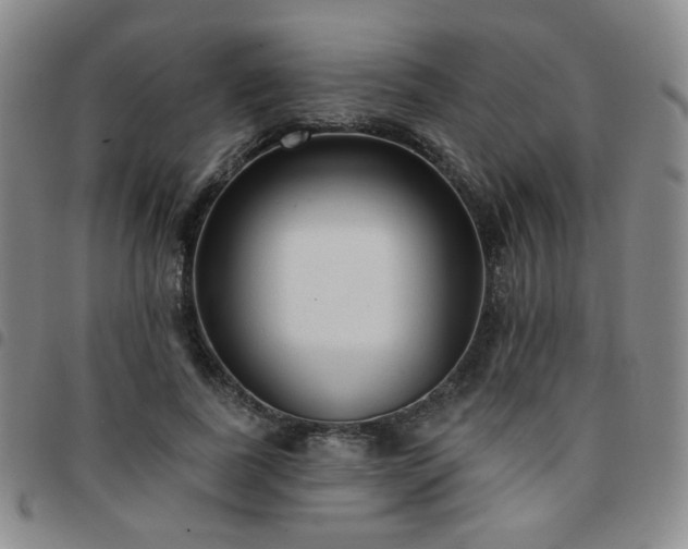 X0000097770739200803141744