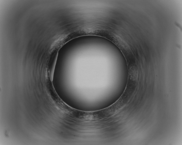 X0000097770740200803141744