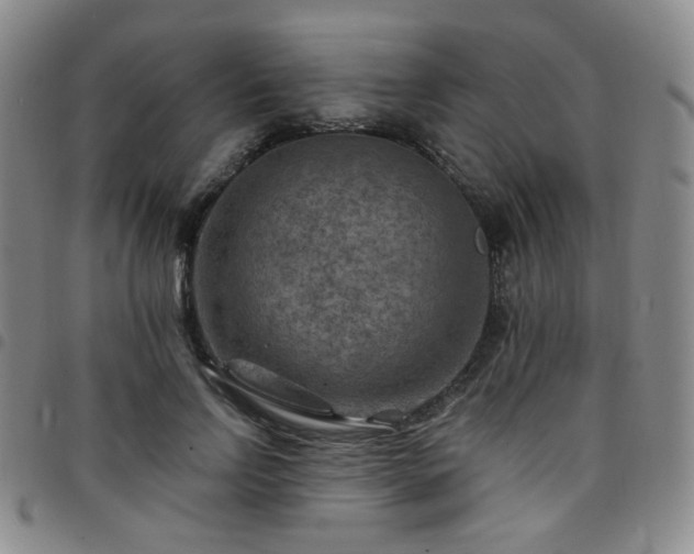 X0000097770742200803141744