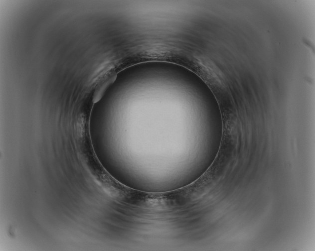 X0000097770744200803141744