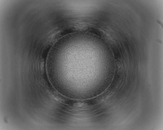 X0000097770745200803141744
