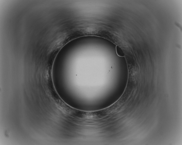 X0000097770746200803141744
