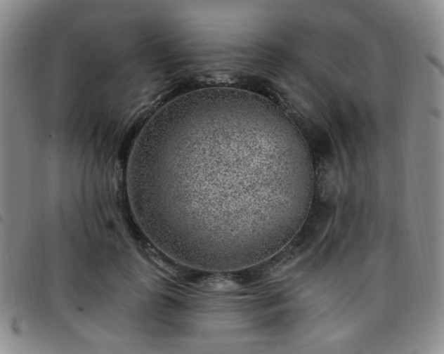 X0000097770747200803141744