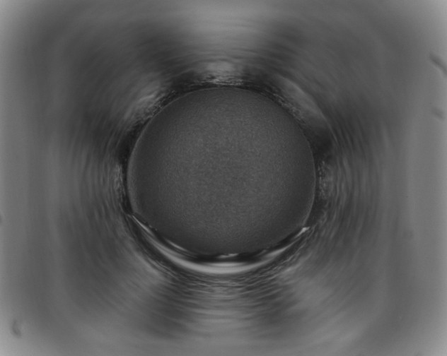 X0000097770748200803141744