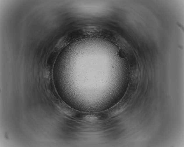 X0000097770749200803141744