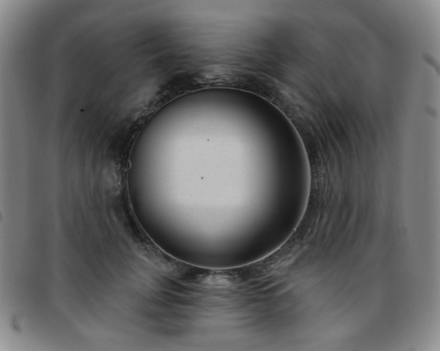 X0000097770751200803141744