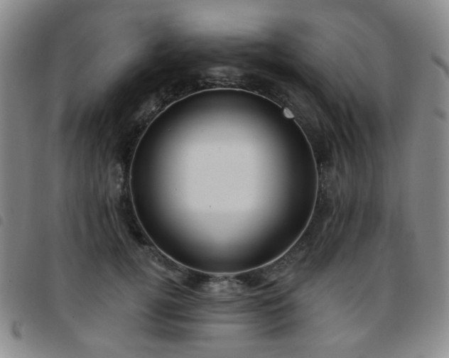 X0000097770752200803141744