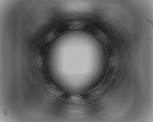X0000097770753200803141745